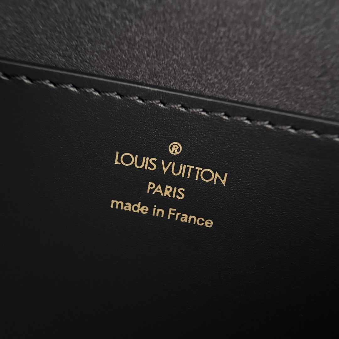 LV Tilsitt Monogram Reverse 4